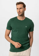 OLIVE - 02